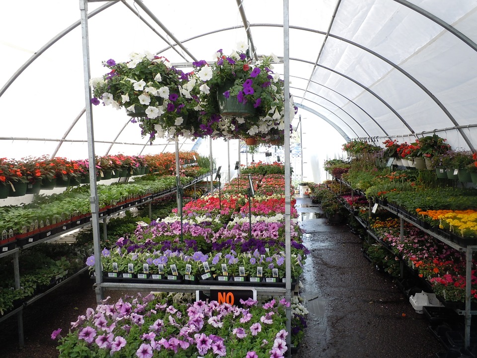 Nursery Growers Course